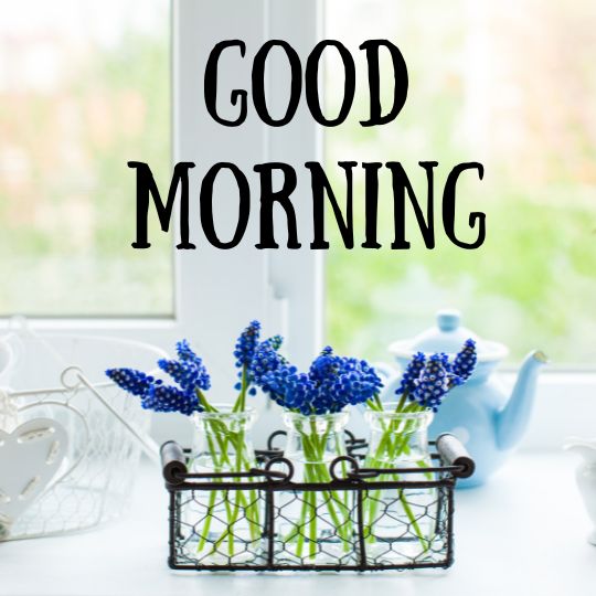 beautiful good morning pics