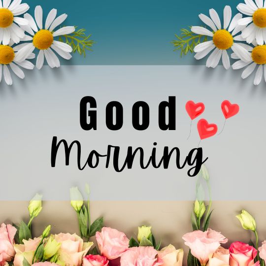 good morning image friend