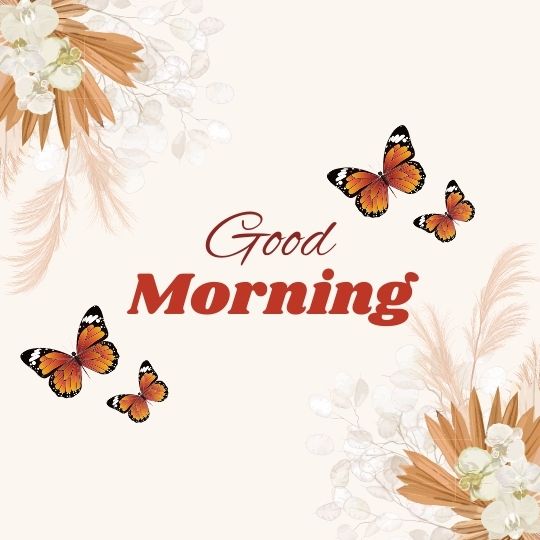 good morning in hd image