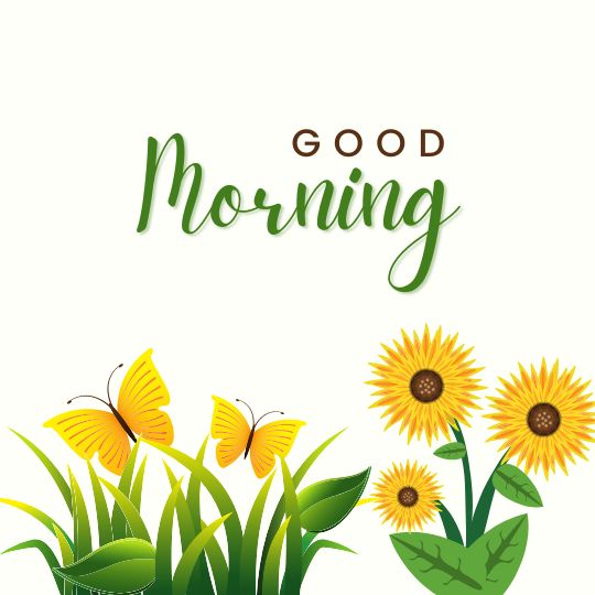 good morning k e photos