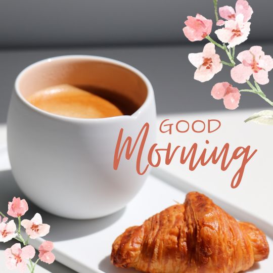good morning nice image