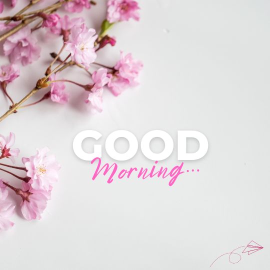 romantic good morning my love