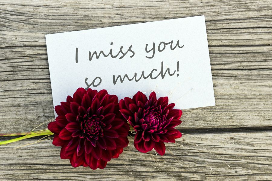 hd images miss you