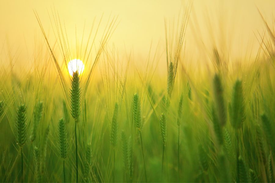 hd sunrise images 8