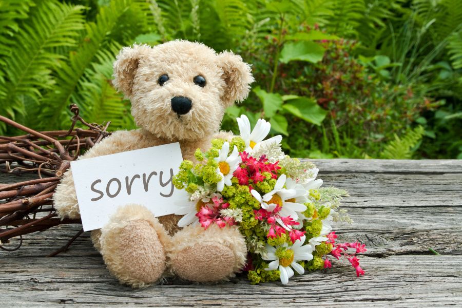 am sorry image 1