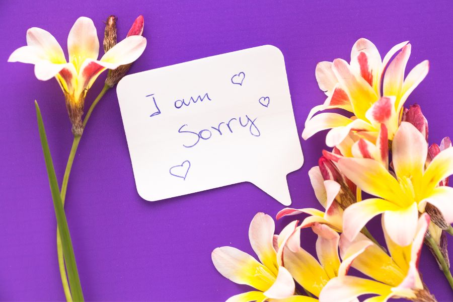 am sorry image 2