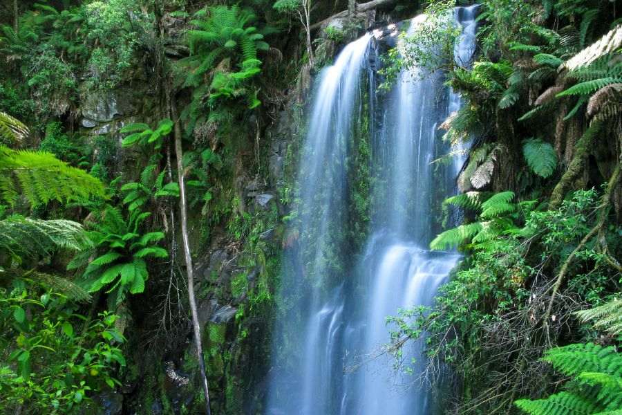 background beautiful waterfall wallpaper