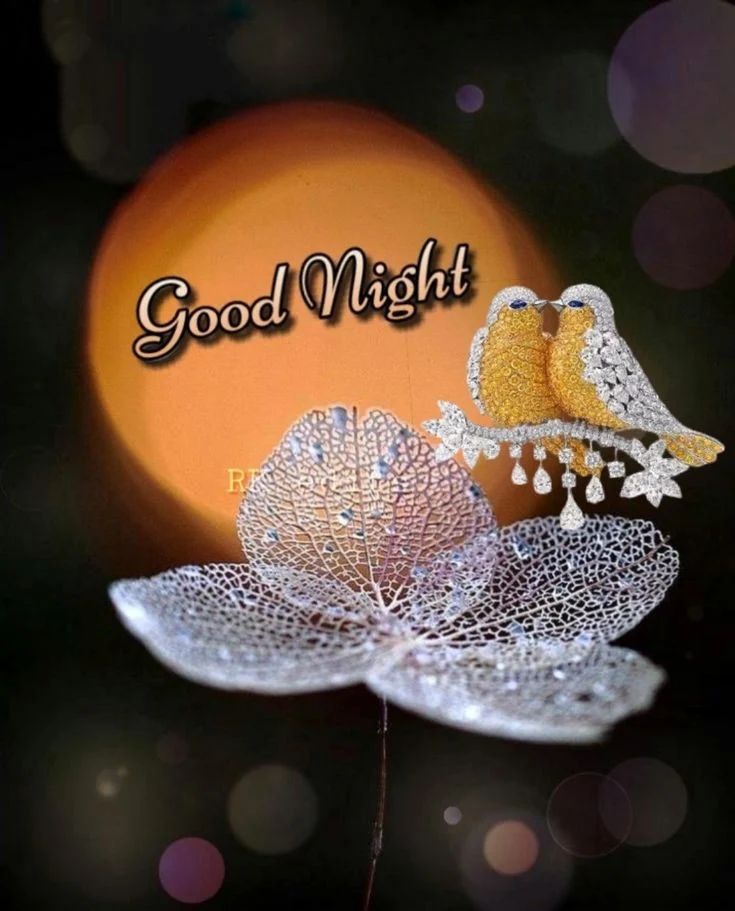 beautiful photos good night