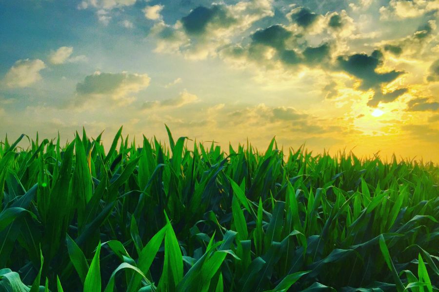 beautiful sunrise images hd