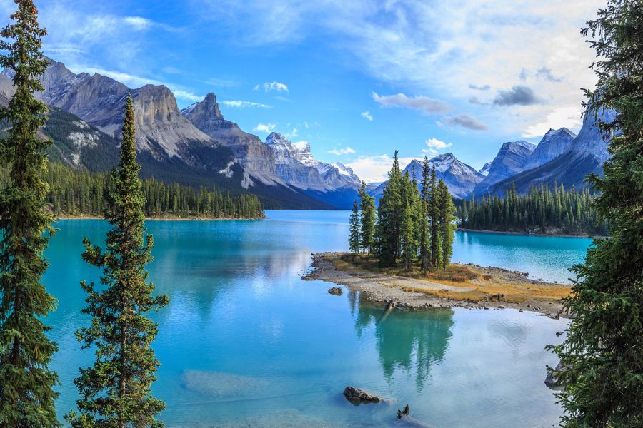 beauty of nature picture