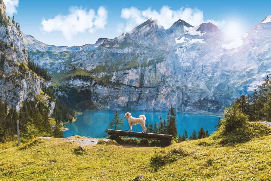 best image nature