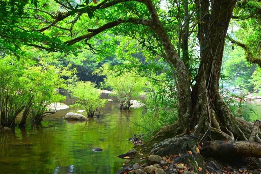 best nature images