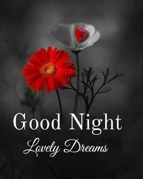 flowers good night image