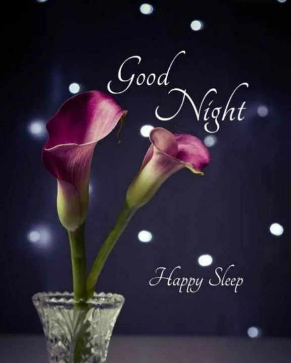 flowers image good night
