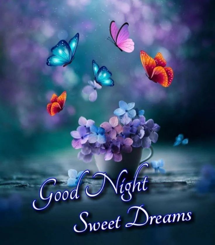 flowers images good night