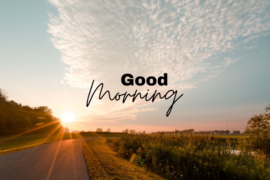 good morning images nature hd