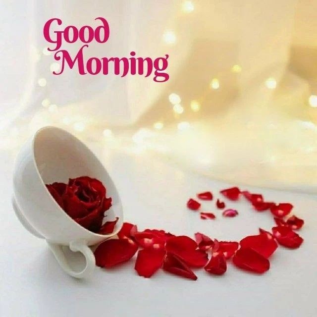good morning love image for whatsapp 1