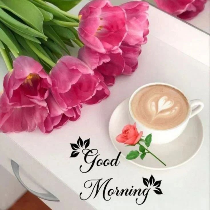good morning love image for whatsapp