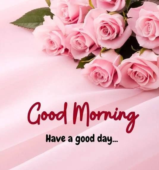 good morning love roses
