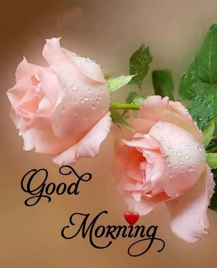 good morning love you images