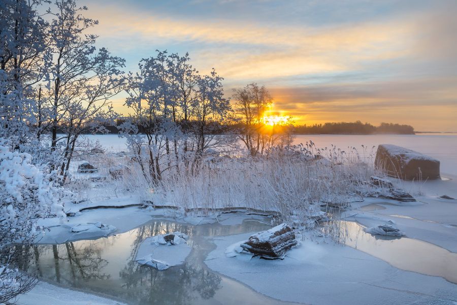 good morning photo sunrise