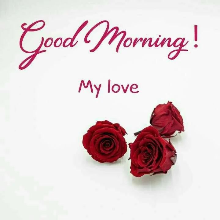 good morning wallpapers for love