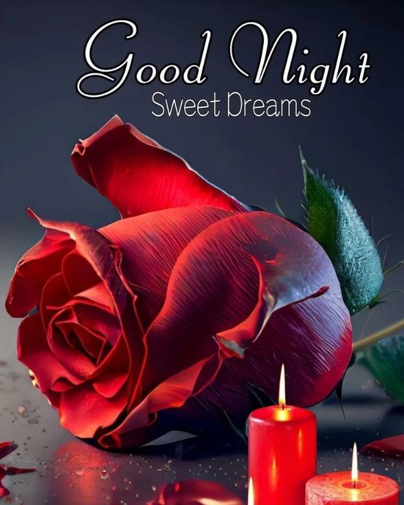 good night flower for love