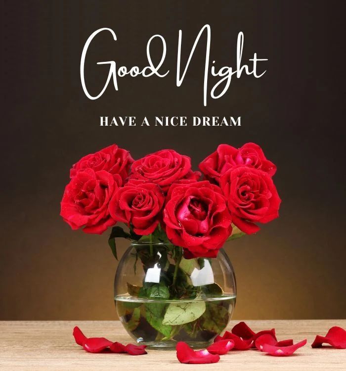 good night flowers love