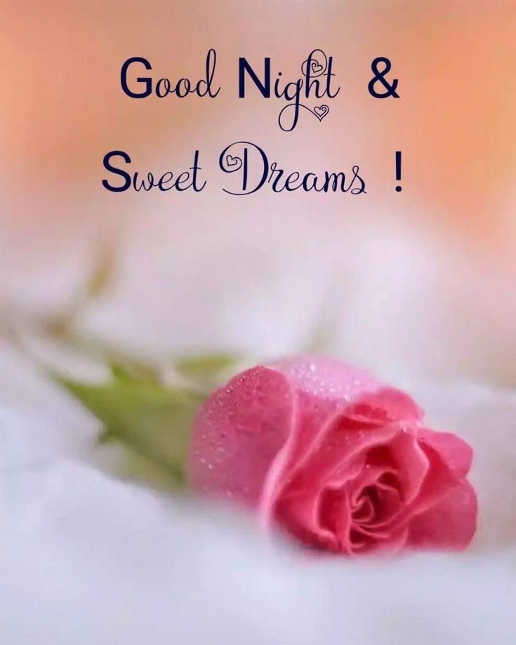 good night wishes for my love