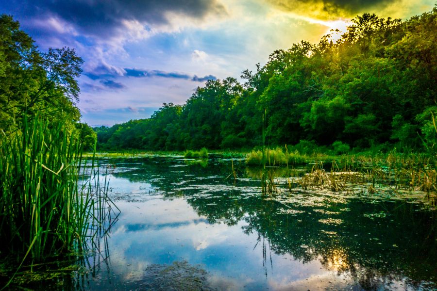 hd picture nature