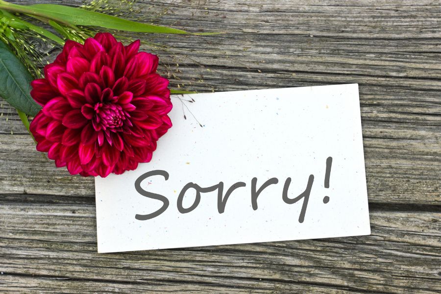 i am sorry 1