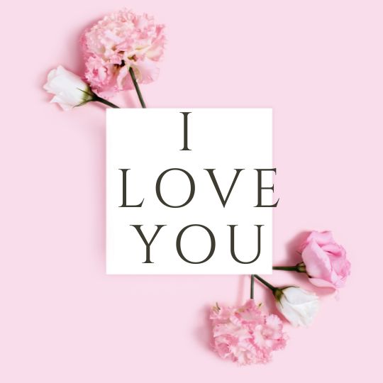 i love you in rose