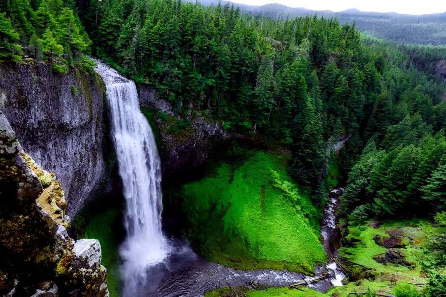 image nature download