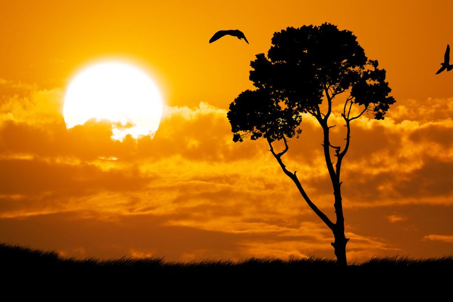 images beautiful nature