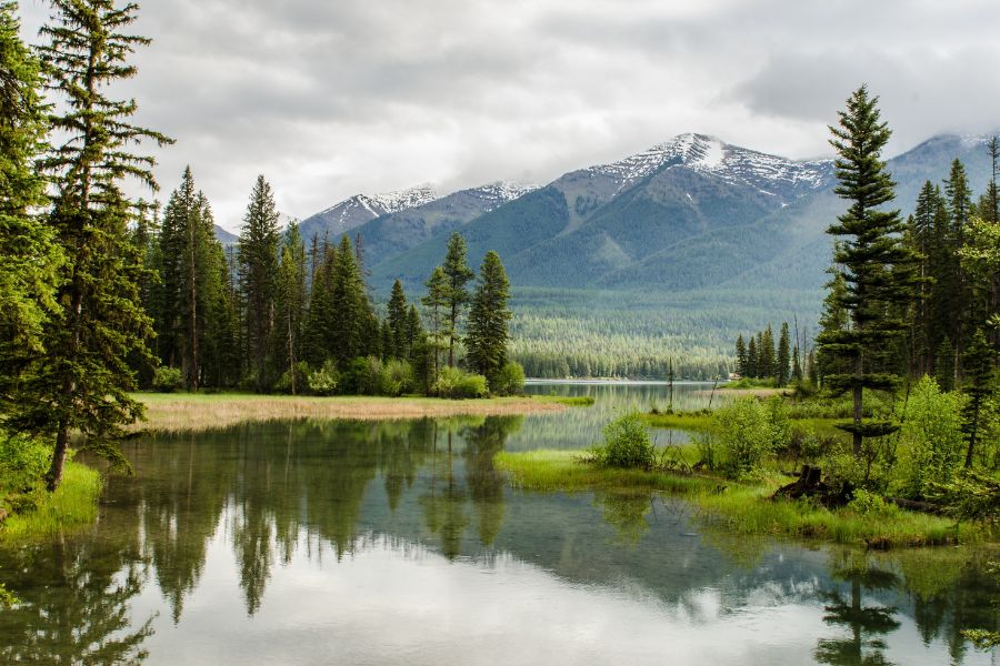 images of nature download
