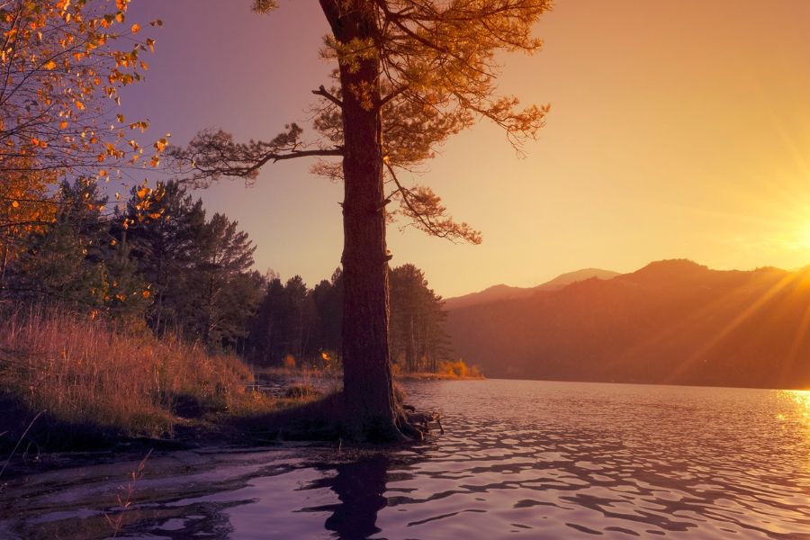 images of nature scene