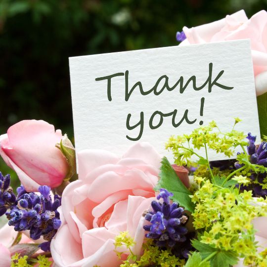 images of thank you flowers
