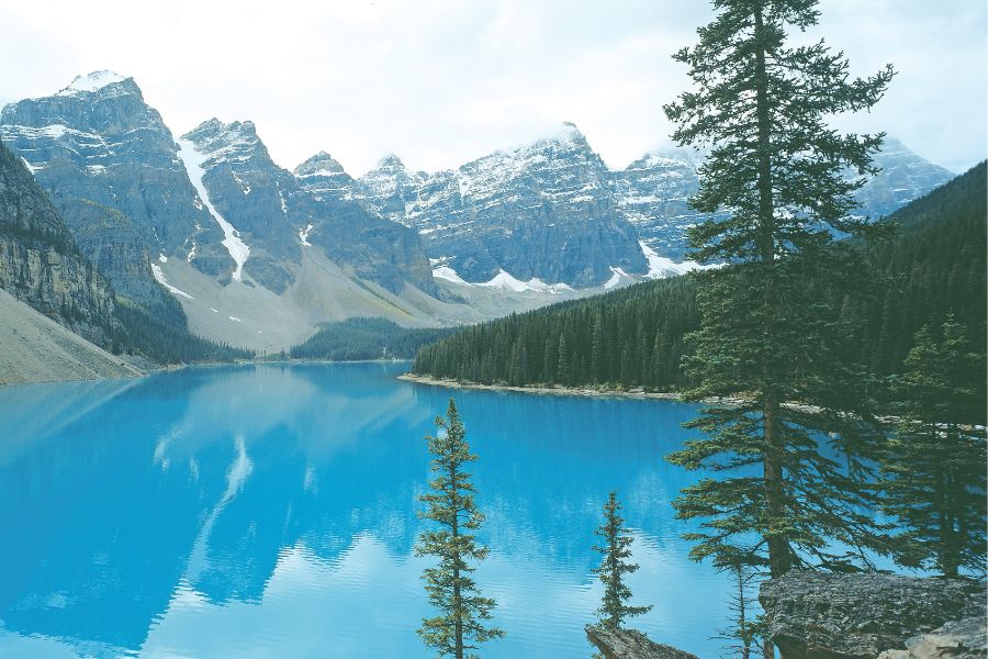 images of the beauty of nature