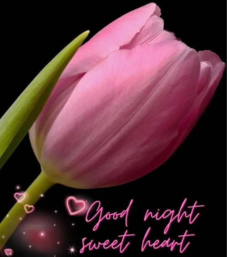 love good night photo