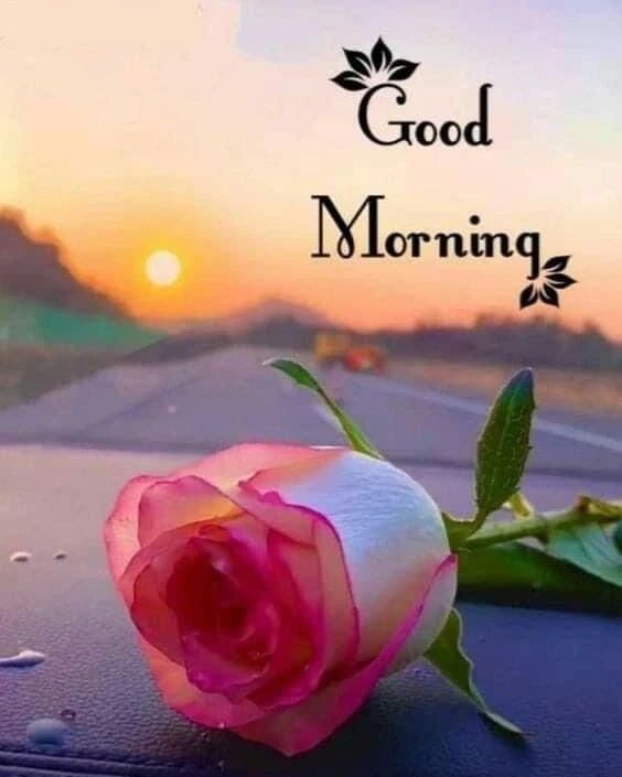 love romantic good morning image