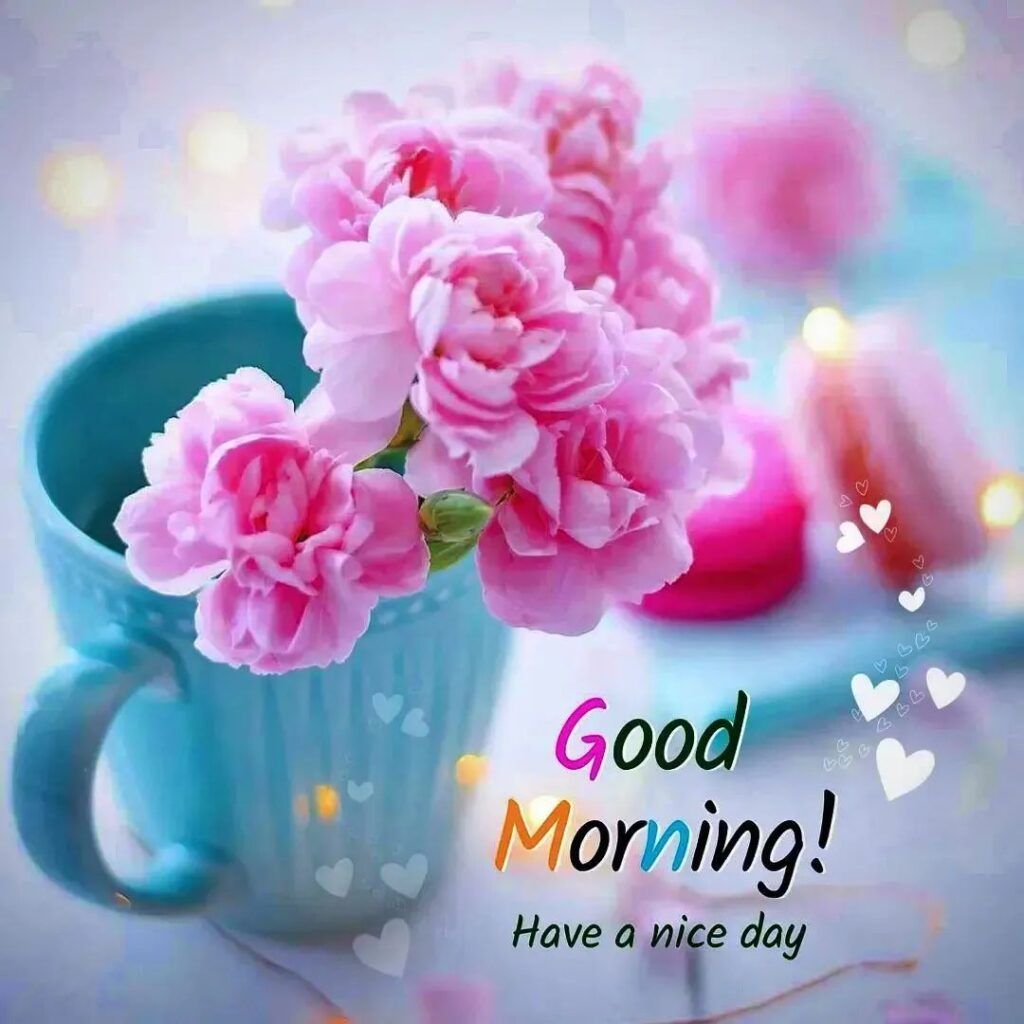 love rose good morning image