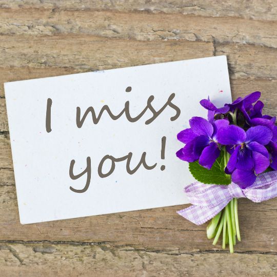 miss you dp wallpaper