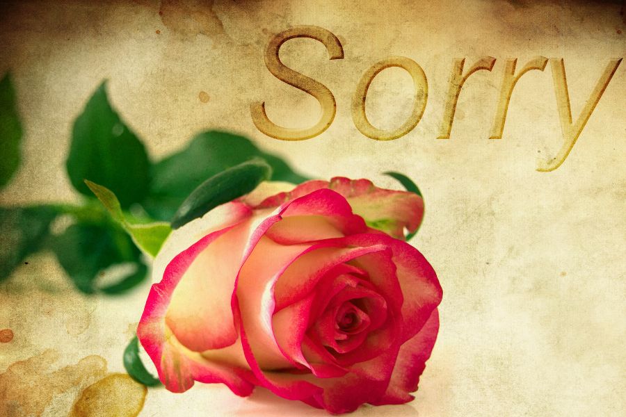 my love sorry 3