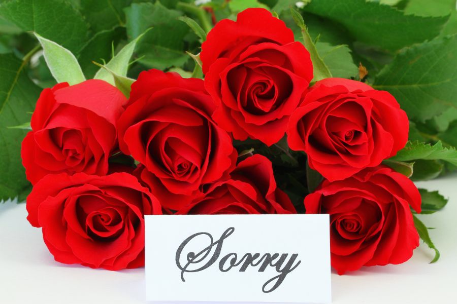 my love sorry 4