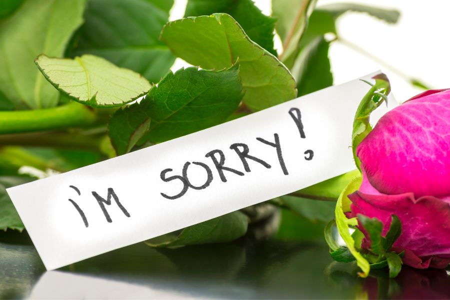 my love sorry 5