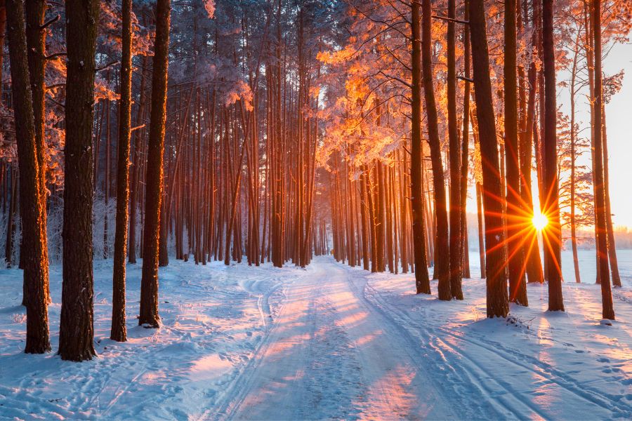 nature background image