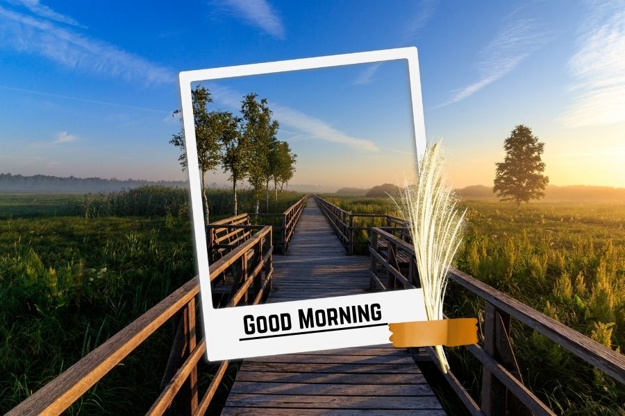 nature beautiful good morning pics