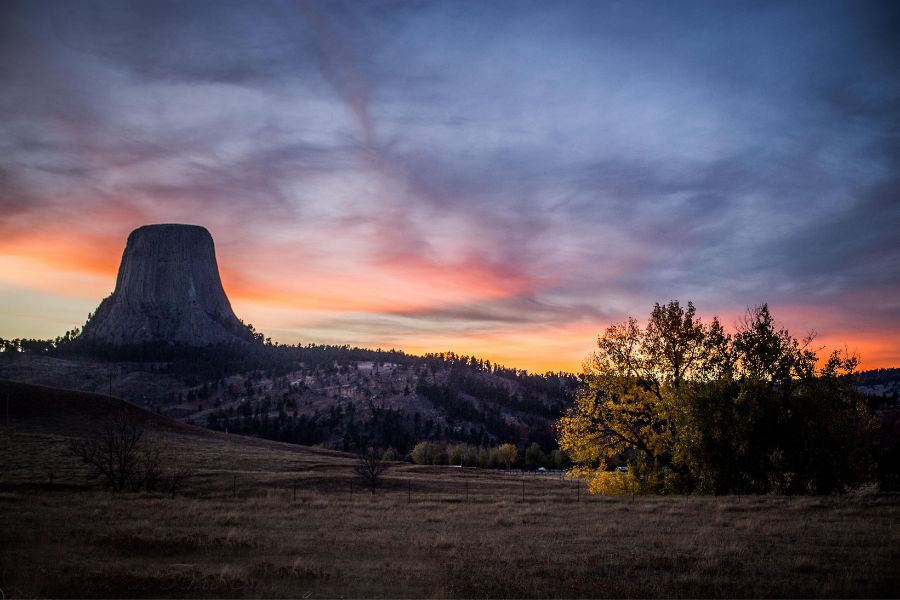 nature beauty image