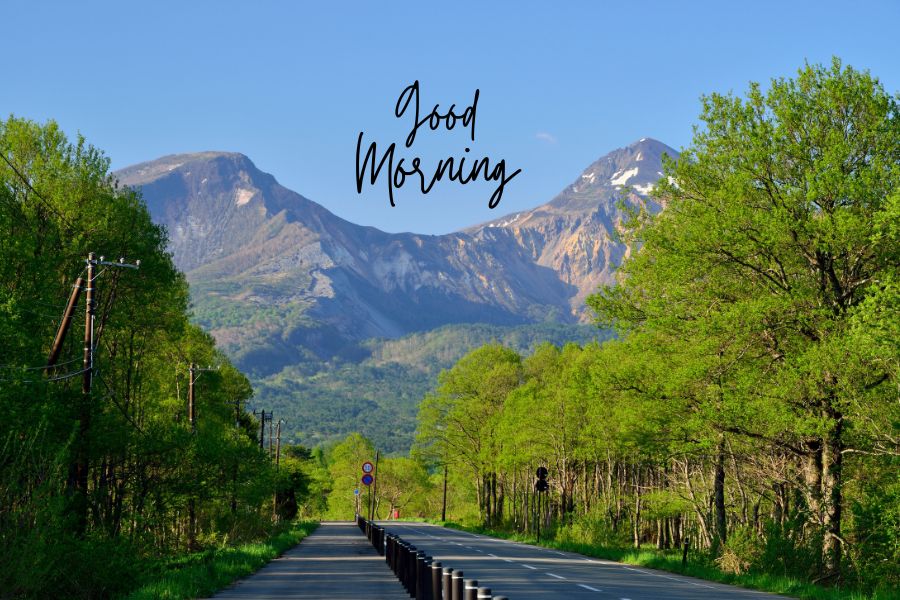 nature good morning images hd