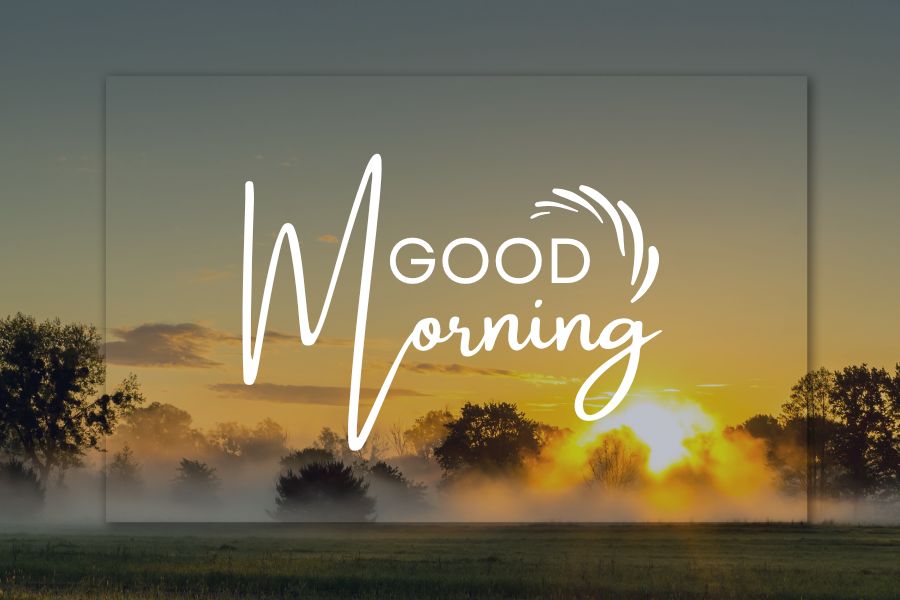 nature good morning pics